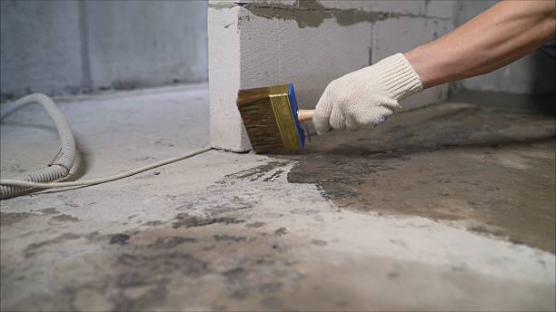 SJ Waterproofing Pros Waterproofing coverage map for La Grange, NC and surrounding area